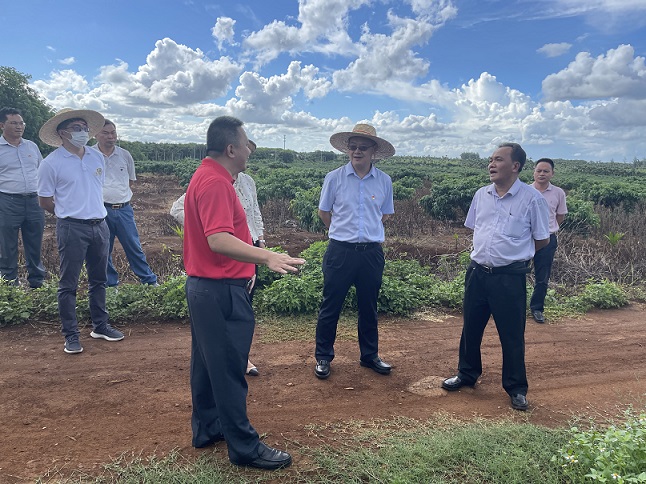 雙層機(jī)械停車位 雙層機(jī)械停車位